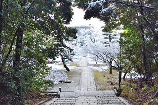 f:id:sarunokinobori:20170121125212j:plain f:id:sarunokinobori:20170121125212j:plain