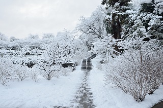 f:id:sarunokinobori:20170121125223j:plain f:id:sarunokinobori:20170121125223j:plain