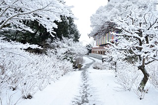 f:id:sarunokinobori:20170121125316j:plain f:id:sarunokinobori:20170121125316j:plain