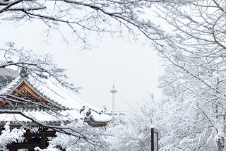 f:id:sarunokinobori:20170121125353j:plain f:id:sarunokinobori:20170121125353j:plain