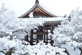 f:id:sarunokinobori:20170121125405j:plain f:id:sarunokinobori:20170121125405j:plain