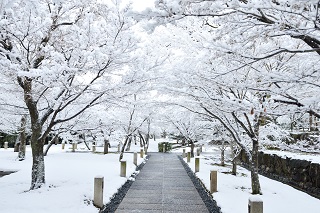 f:id:sarunokinobori:20170121125421j:plain f:id:sarunokinobori:20170121125421j:plain