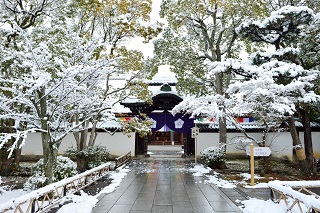 f:id:sarunokinobori:20170121125433j:plain f:id:sarunokinobori:20170121125433j:plain