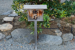 f:id:sarunokinobori:20170301211308j:plain