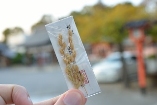 f:id:sarunokinobori:20170301211329j:plain