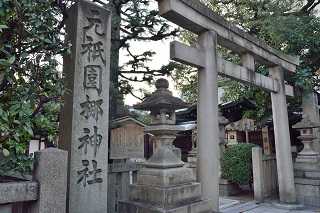 f:id:sarunokinobori:20170313214930j:plain f:id:sarunokinobori:20170313214930j:plain
