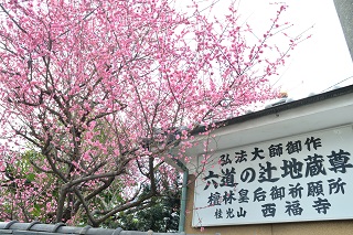 f:id:sarunokinobori:20170314213101j:plain