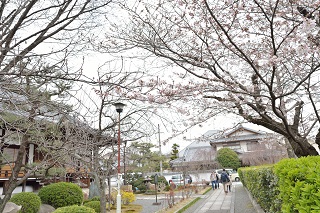 f:id:sarunokinobori:20170406210132j:plain