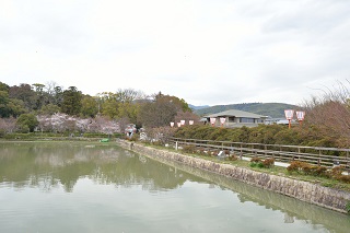 f:id:sarunokinobori:20170411223728j:plain