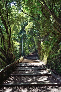 f:id:sarunokinobori:20170522215739j:plain f:id:sarunokinobori:20170522215739j:plain