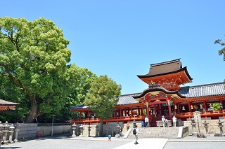 f:id:sarunokinobori:20170522215813j:plain f:id:sarunokinobori:20170522215813j:plain