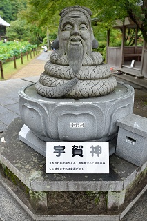 f:id:sarunokinobori:20170629213437j:plain f:id:sarunokinobori:20170629213437j:plain