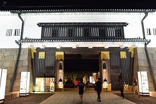 f:id:sarunokinobori:20170807220918j:plain