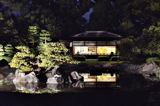 f:id:sarunokinobori:20170807221023j:plain