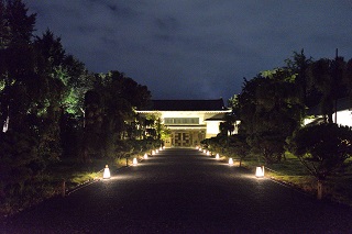 f:id:sarunokinobori:20170807221032j:plain