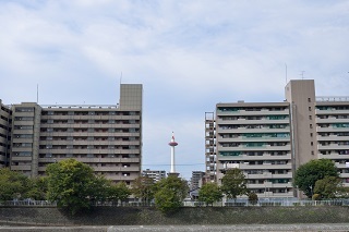 f:id:sarunokinobori:20171028203459j:plain