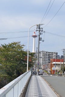 f:id:sarunokinobori:20171028203508j:plain