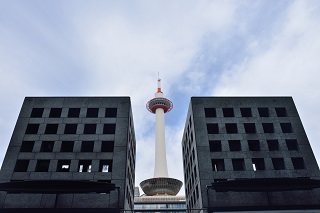 f:id:sarunokinobori:20171028203534j:plain