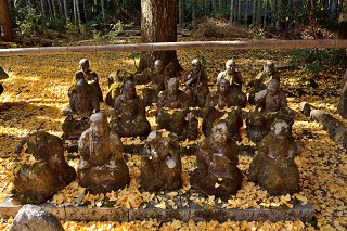 f:id:sarunokinobori:20171207215756j:plain