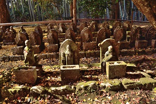 f:id:sarunokinobori:20171207215808j:plain