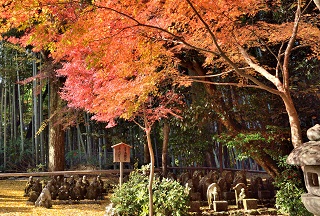 f:id:sarunokinobori:20171207215817j:plain