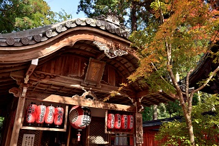 f:id:sarunokinobori:20171208222237j:plain