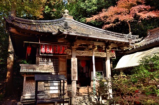 f:id:sarunokinobori:20171208222247j:plain