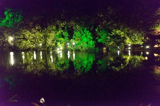 f:id:sarunokinobori:20171212213602j:plain f:id:sarunokinobori:20171212213602j:plain