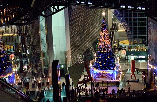 f:id:sarunokinobori:20171214221400j:plain