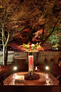 f:id:sarunokinobori:20171218220134j:plain