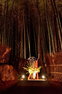 f:id:sarunokinobori:20171218220146j:plain