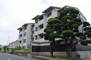 f:id:sarunokinobori:20180305213557j:plain