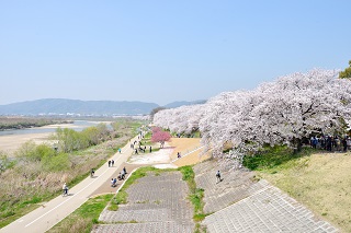 f:id:sarunokinobori:20180402210631j:plain