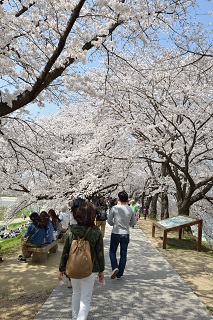 f:id:sarunokinobori:20180402210642j:plain