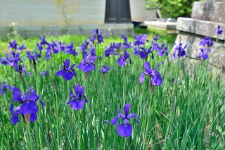 f:id:sarunokinobori:20180504214947j:plain