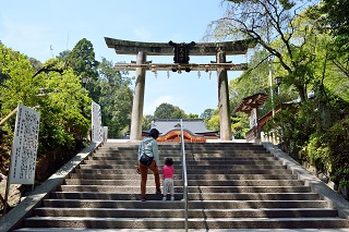 f:id:sarunokinobori:20180508213708j:plain f:id:sarunokinobori:20180508213708j:plain