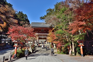 f:id:sarunokinobori:20180520141106j:plain