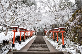 f:id:sarunokinobori:20180520141143j:plain