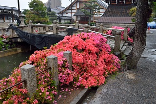 f:id:sarunokinobori:20180603103234j:plain