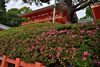 f:id:sarunokinobori:20180606222702j:plain f:id:sarunokinobori:20180606222702j:plain