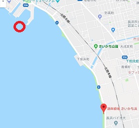 f:id:sarunokinobori:20180612184810j:plain f:id:sarunokinobori:20180612184810j:plain