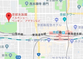 f:id:sarunokinobori:20180619220010j:plain