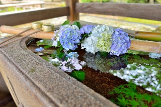 f:id:sarunokinobori:20180619221935j:plain