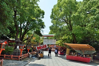 f:id:sarunokinobori:20180626204128j:plain f:id:sarunokinobori:20180626204128j:plain