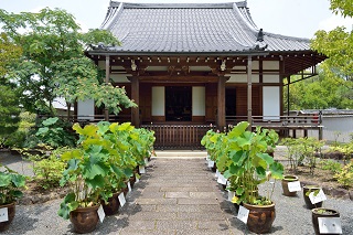 f:id:sarunokinobori:20180701204430j:plain