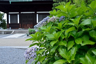 f:id:sarunokinobori:20180712214947j:plain