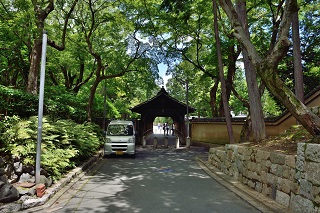f:id:sarunokinobori:20180715202840j:plain