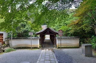 f:id:sarunokinobori:20180716214632j:plain f:id:sarunokinobori:20180716214632j:plain