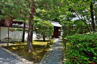 f:id:sarunokinobori:20180716214702j:plain f:id:sarunokinobori:20180716214702j:plain