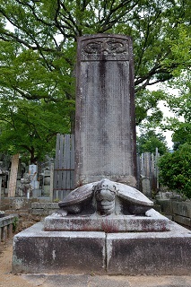 f:id:sarunokinobori:20180717221829j:plain